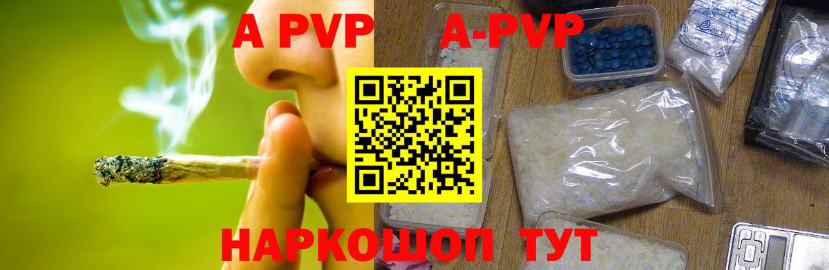 Альфа ПВП СК Можга