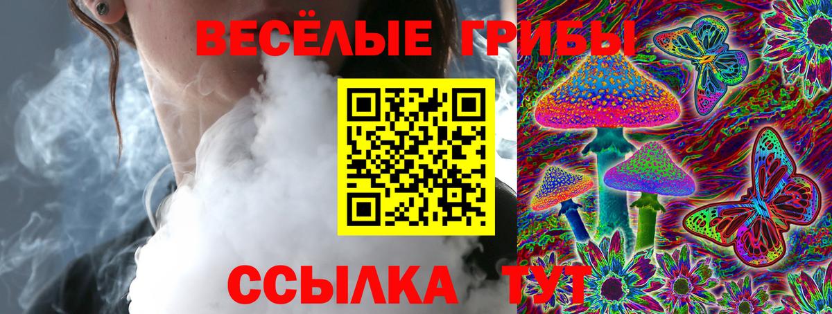 Псилоцибиновые грибы прущие грибы Можга