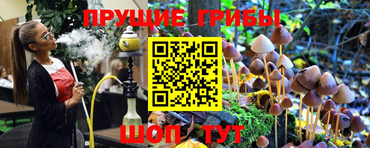 Галлюциногенные грибы Magic Shrooms  Вход с VPN  Можга 